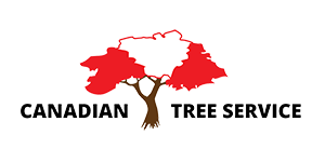 Canadian Tree Service Logo-01